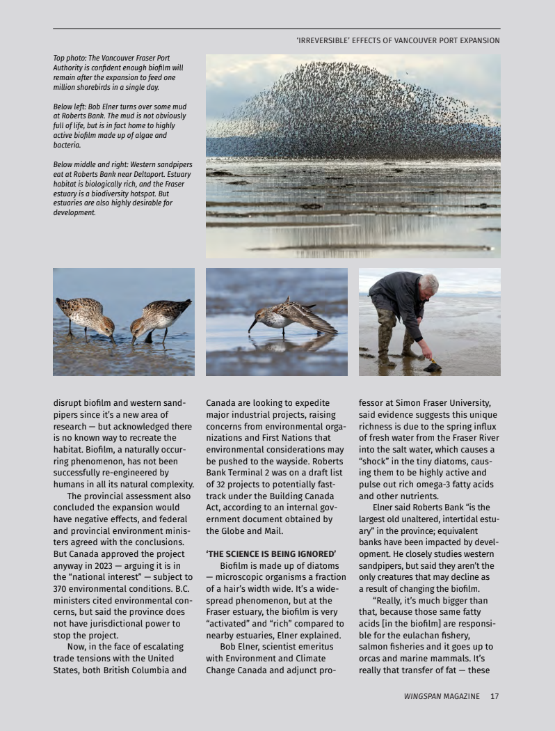 Feature spread on Vancouver port expansion